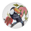 Recherche de toucan planches à découper Oiseaux
