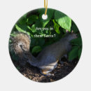 Recherche de écureuil de ornements Noël