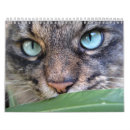 Search for maine calendars Kitty