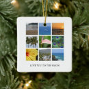 Search for hawaii ornaments Kauai