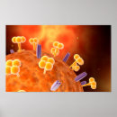 Recherche de virus de la grippe posters Épidémie