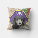 Search for pirate pillows Buccaneer