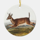 Search for cervus Deer