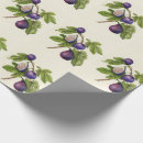 Search for fig wrapping paper Botanical
