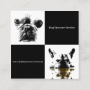 Recherche de français bouledogue cartes visite De