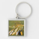 Search for fish viewing keychains High angle view