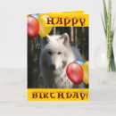 Search for alaska birthday cards Wild