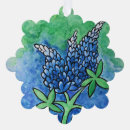 Search for texas bluebonnet ornaments Texan