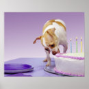Search for eat cake posters Birthday