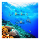Search for diving art Coral