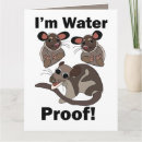 Search for funny opossum cards Animal