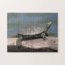 Recherche de lent puzzles Tortue