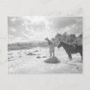Search for fly fishing postcards Vintage