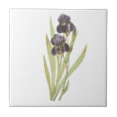 Recherche de iris carreaux Vintage