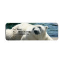 Search for polar bear return address labels Wildlife