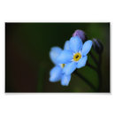 Search for nots photography Floral