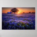 Recherche de étoile solitaire posters Nature