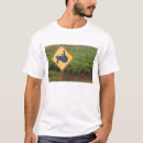 Search for viticulture tshirts Wine country