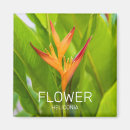Search for heliconia Garden