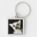 Search for lemur keychains Monkey