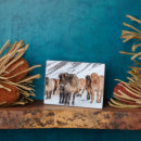 Recherche de cheval islandais plaques Ferme