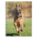 Recherche de course carnets Chien