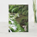 Search for hosta cards Photography
