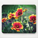 Search for blankets mousepads Nature