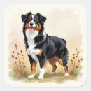 Search for australian shepherd stickers Pets
