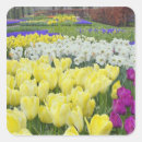 Recherche de jacinthe autocollants Fleur