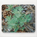 Recherche de cône tapis souris Forêt