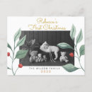 Search for plant christmas cards Mistletoe