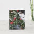 Search for yew Berries