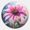 Search for coneflowers stickers Botanical