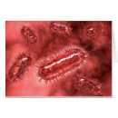 Search for coli Bacteria