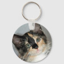 Search for longhair keychains Kitten