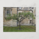 Search for apple postcards Travel