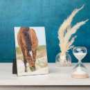 Recherche de cheval plaques Mustang