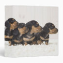 Search for mini binders Dog