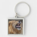 Search for panthera keychains Africa