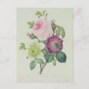 Search for first vertical postcards Flower
