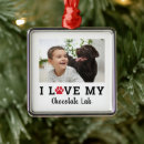 Recherche de labrador christmas decor Dogs