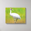 Search for wade canvas prints Wildlife