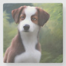 Search for collie coasters Dog