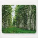 Recherche de bouleaux tapis souris Nature