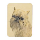 Recherche de brussels magnets Griffon bruxellois