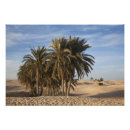 Recherche de tunisie posters Paysage
