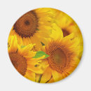Recherche de de tournesol refrigérateur magnets Nature