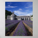 Search for provence posters Travel