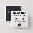 Search for parasite buttons Tick